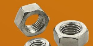 Stainless Steel Nuts