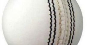 White Leather Cricket Balls