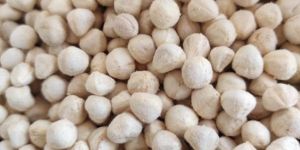 Organic Moringa Kernal