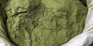 Moringa Oleifera Powder