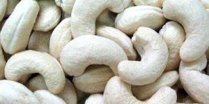 Cashew Nut