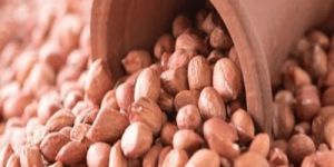 Groundnut Seeds