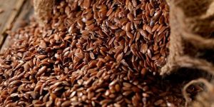 Flax Seeds