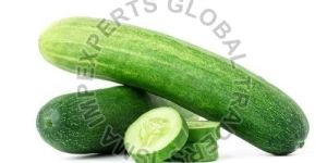 Fresh Cucumber