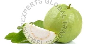 Fresh Guava