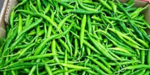 Fruits and Vegetable Export Consultation Services