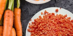 Dehydrated Carrot Powder