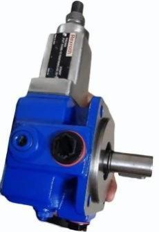 Vane Type Hydraulic Motor