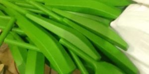 Green Plastic Cricket Bats