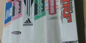 Scoop Wooden Cricket Bats