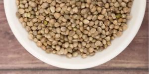 Organic Hemp Seeds