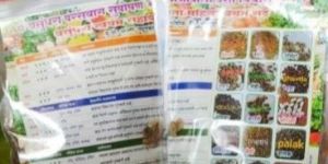 20 Type Desi Vegetables Seed