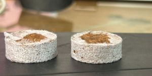 Jiffy Coins