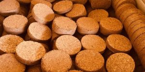 Plain Cocopeat Coins