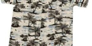 White and Blue Half Sleeve Mens Printed Viscose Shirt