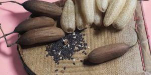 Organic Loofah Body Scrubber