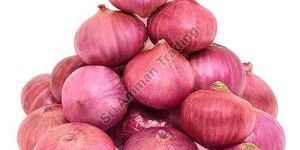 a Grade Red Onion