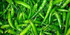 Fresh Green Chilli