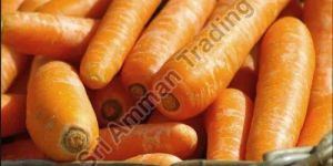 Natural Carrot