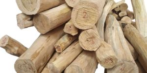 a Grade White Sandalwood Logs