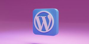 WordPress Web Development Services