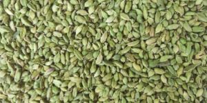 Green Cardamom