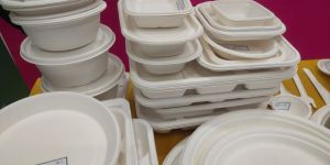 Sugarcane Bagasse Plates and Tableware