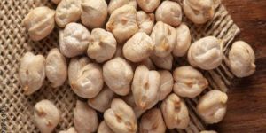 White Chickpeas