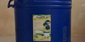 Sewage Treatment Anaerobic Bio Culture