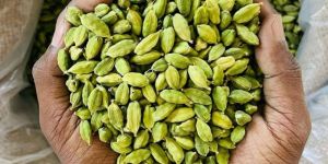 Green Cardamom