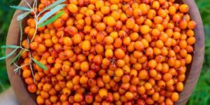Seabuckthorn Pulp