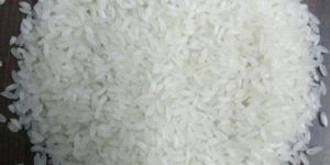Haryana Basmati Rice