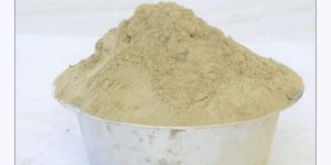 Bhumi Amla Powder