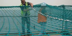 Safety Net Installation Service