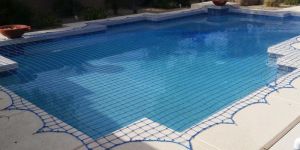 Swimming Pool Covering Net