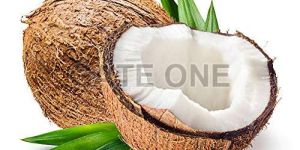 Fresh Coconut