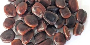 Tamarind Seeds