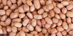 Dried Groundnut Kernels