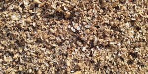Natural Groundnut Shell Husk