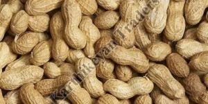 Organic Shelled Groundnuts