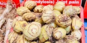 Organic Amarkand Roots