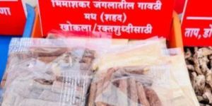 Organic Jethi Madh Roots