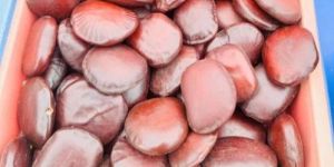 Organic Tamarind Seeds