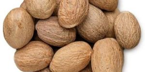 Solid Dried Whole Nutmeg Seeds