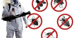 Pest Control Service
