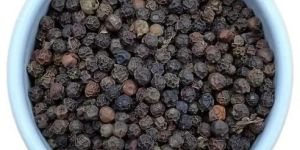 Black Pepper Seeds