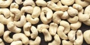 Cashew Nuts