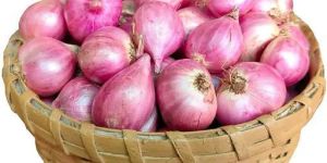 Fresh Red Onion