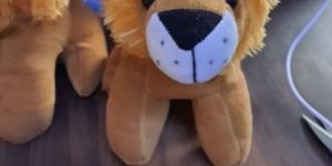 Lion Cub Soft Toy