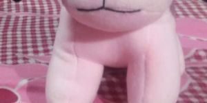 Mini Dog Soft Toy